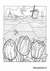 Kleurplaat Kleurplaten Nederland Windmill Dutch Tulip Mies Noot Aap Kleuteridee Horsthuis Tulips Parel Landschap Windmills Hollande Mewarn15 Leesplankje Bollenvelden Downloaden sketch template