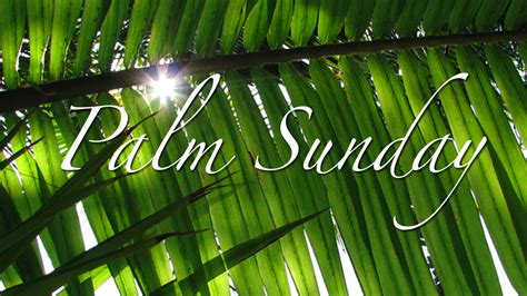 palm sunday reflection bryan hardwick   lessons