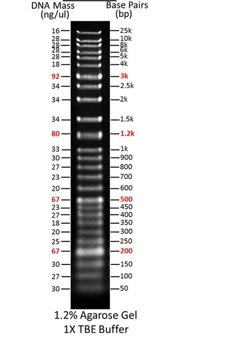 Readiuse 1 Kb Plus Dna Ladder 西安百萤生物科技有限公司