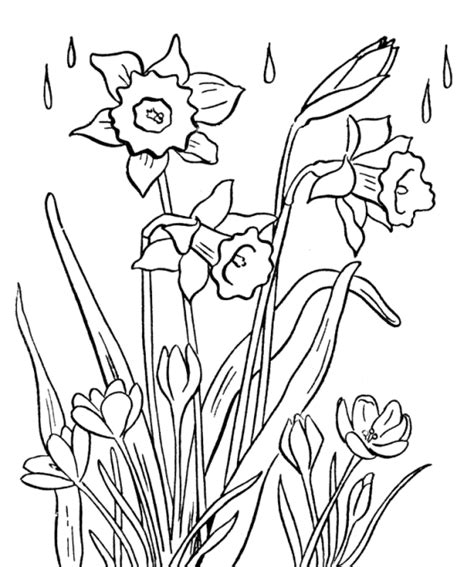 printable spring flower coloring pages spring coloring pages
