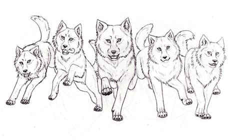 pack  wolves howling drawing images