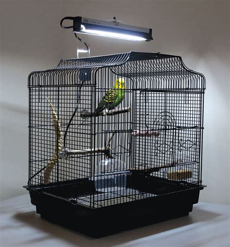 rainforest cages arcadia bird puresun mini lighting kit