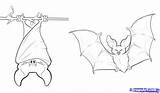 Bat Coloring Pages Flying Drawing Fox Bats Halloween Printable Sheets Dragoart Animal Step Fruit sketch template