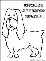 Spaniel sketch template