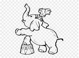 Circus Elephant Clipart Coloring Drawing Pinclipart Paintingvalley sketch template