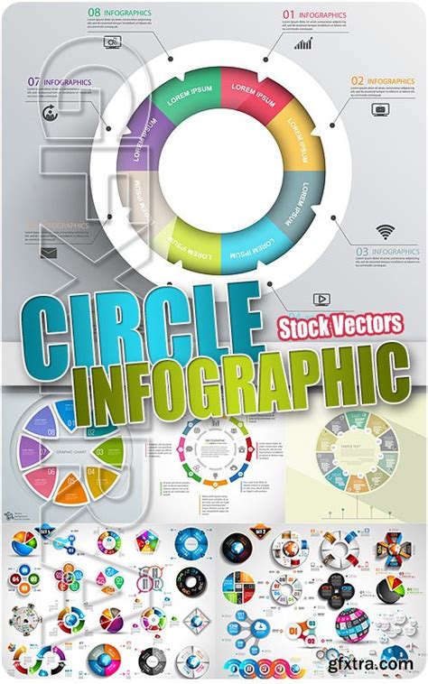 circle infographics stock vectors gfxtra