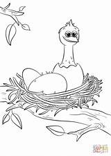 Coloring Nest Pages Bird Birds Printable Chick Hatched Newly Cute Template Eggs 1200px 64kb Drawing sketch template