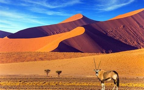 Paisagens da NamÃ­bia - Personal Brasil Tour Operator