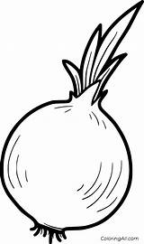 Onion Coloring Pages Printable Colouring Kids Vegetable Easy Format Vector Choose Board sketch template