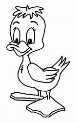 Eenden Duck Kleurplatenwereld Ducks Dieren Eendje Duckling sketch template