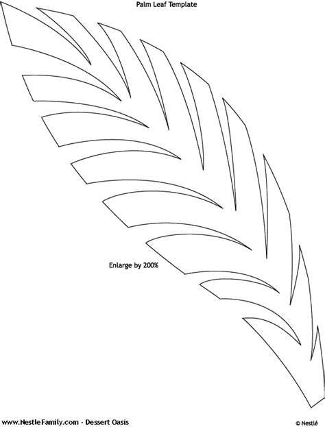 plam tree leaf template