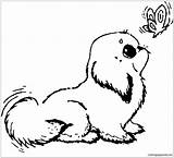 Puppy Dog Unique Pages Coloring Color Printable Sad Print Coloringpagesonly sketch template