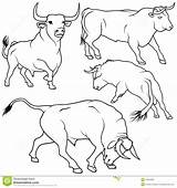 Taureau Imprimer Camarguais Espagnol Vache Dessus Veau sketch template