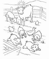 Coloring Pig Farm Library Clipart Taking Animals Care sketch template