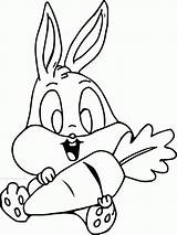 Coloring Carrot Bunny Pages Bugs Baby Clipart Holding Mau Color Library Rabbit Dong Vat Tranh Getcolorings Popular sketch template