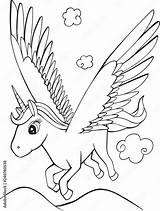 Pegasus Splashbacks sketch template