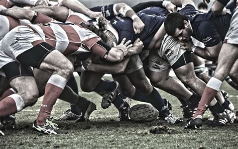 wallpapers rugby england team sports match wrestling