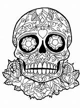 Sugar Coloring Fun Kids Skulls Skull sketch template