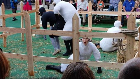 Humans Dressed Up And Acting As Sheep In Real Life Is So