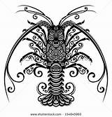 Lobster Spiny Overzeese Palinuro Designlooter Patterned sketch template