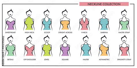 woman neckline type models collection vector female dress necklines