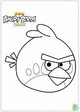 Coloring Angry Birds Pages Chuck Dinokids Template sketch template