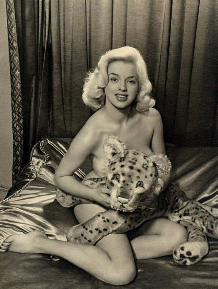 vintage hollywood starlets and their cats with images diana dors