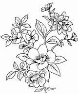 Coloring Flowers Pages Printable Drawing sketch template