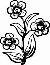 Flowers Stencils Clipart Clip Draw Cliparts Designs sketch template