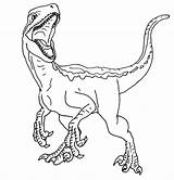 Jurassic Colorear Velociraptor Dinosaur Dinosaurios Dibujos Raptor Dinosaurio Mosasaurus Colorare Dinossauro Indoraptor Malvorlagen Owen Indominus Disegni Ausmalen Colorin Sketch Cat sketch template
