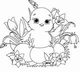 Easter Chick Coloring Pages Printable Print Color Cute Flowers Garden sketch template