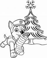 Coloring Patrol Paw Christmas Pages Print A4 Printable Chase Color Tree Wonder Topcoloringpages Puppy Template sketch template