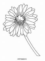 Daisy Coloring Pages Flower Gerbera Color Gerber Colouring Printable Petal Rose Drawing Getcolorings Flowers Getdrawings Print Colorings Epic Recommended sketch template