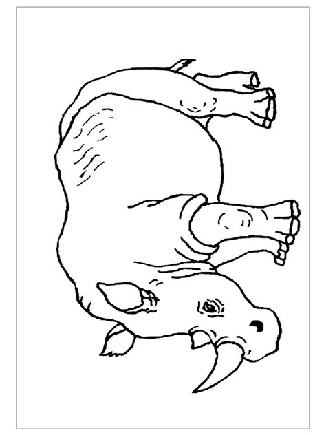 rhino coloring pages preschool crafts
