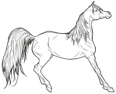 desene cu cai de colorat imagini  planse de colorat cu cai