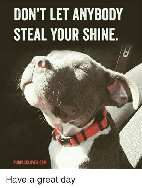 Don T Let Anybody Steal Your Shine Purpleclovercom Have A