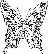 Farfalle Colorare Cartoni Cartonidacolorare sketch template