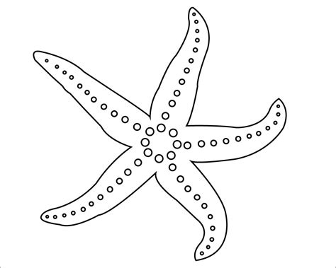 starfish coloring pages coloringbay