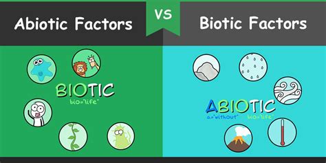 difference  abiotic  biotic factors bio differences