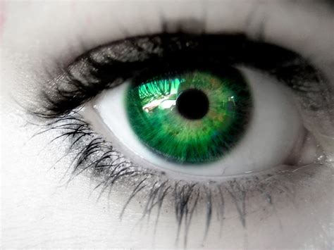 green eyes   attractive trait siowfa science
