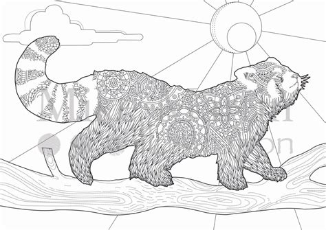 printable red panda coloring page instant  adult coloring page