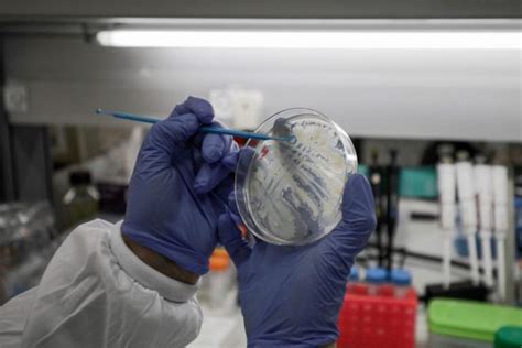 un laboratoire français découvre un médicament effi­cace contre le coro­na­vi­rus brèves
