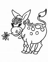 Donkey Coloring Pages Donkeys Flower Little Printable Color Drawing Head Getdrawings Coloring2print sketch template