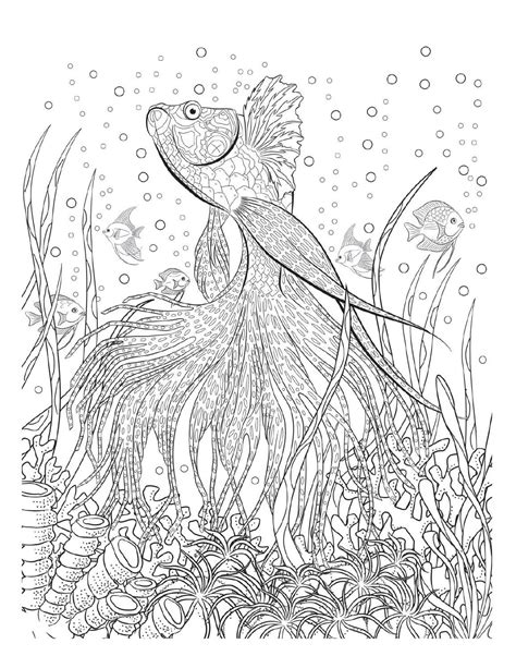 underwater coloring pages  adults  getcoloringscom