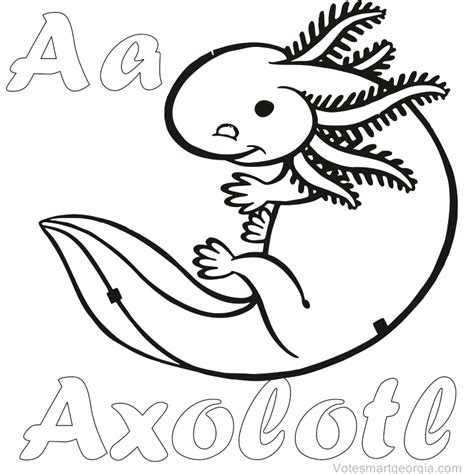 axolotl drawing images     drawings  axolotl  getdrawings