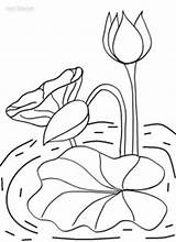 Lily Pad Coloring Pages Printable Cool2bkids sketch template