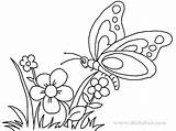 Coloring Butterfly Flower Pages Drawing Butterflies Flowers Kids Cute Adults Color Print Getdrawings Printable Popular Getcolorings Everfreecoloring sketch template