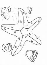 Starfish Kids Rozgwiazda Kolorowanki Coloringbay Dzieci Dla Bestcoloringpagesforkids sketch template