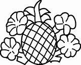 Coloring Pineapple Pages Flowers Fruits Vegetables Broccoli Cucumber Wecoloringpage sketch template