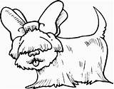 Coloring Fluffy Pages Dogs Popular Dog sketch template